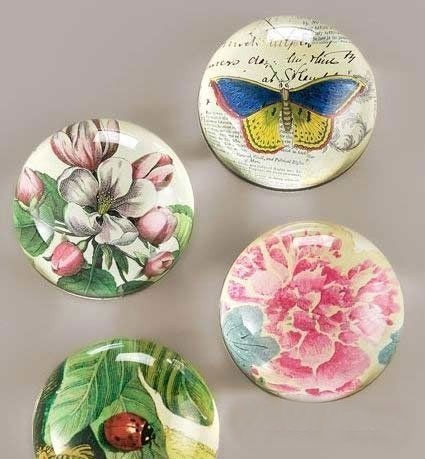 (chung  )Ʒc(din)ķg