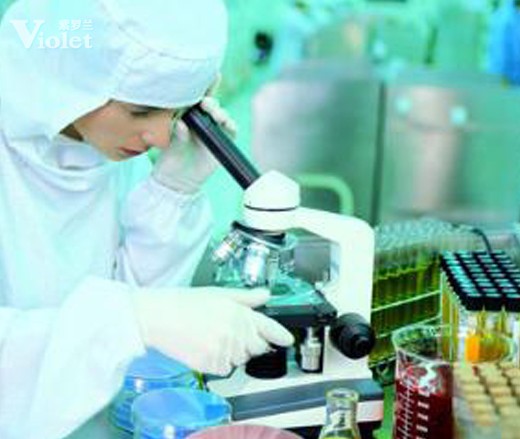 L(fng)2011Ҋ(jin)C_mĿƼ(chung  )