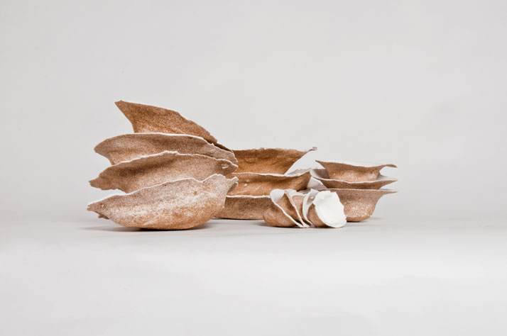 AreniscosϵȻΑB(ti)(chung  );