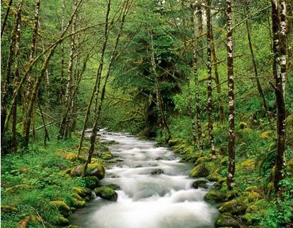 3DҼoҎ(li)ȫҕX(ju)_