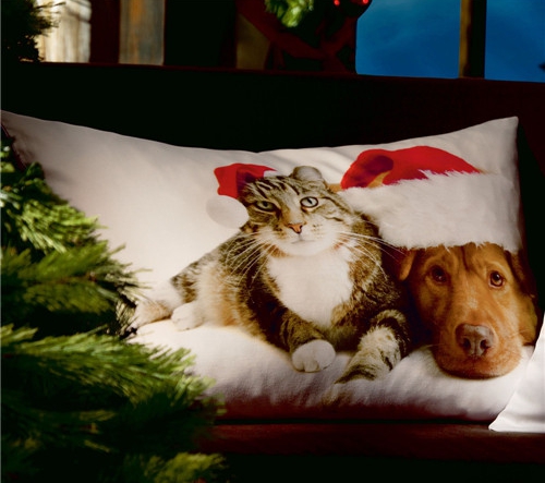 r(sh)мҼƷʥQԪؿ|C