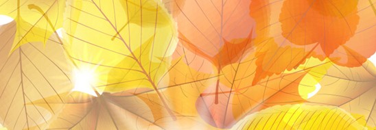 ˯ه(li)VioletCҼ