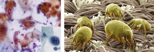 _mҼ(i)(i)360㝍˯