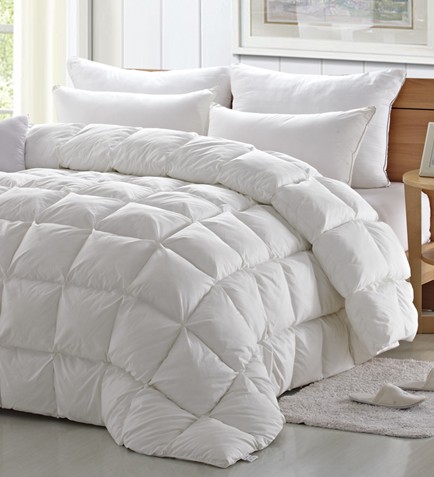 _mҼ(i)(i)360㝍˯