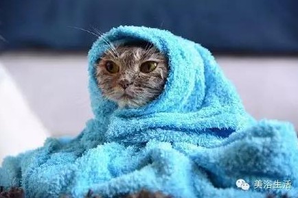 ԡëԌëҲv