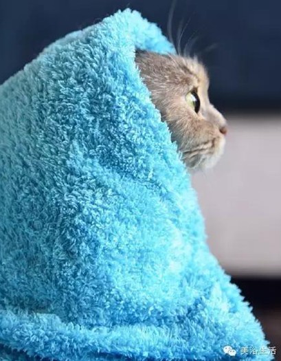 ԡëԌëҲv