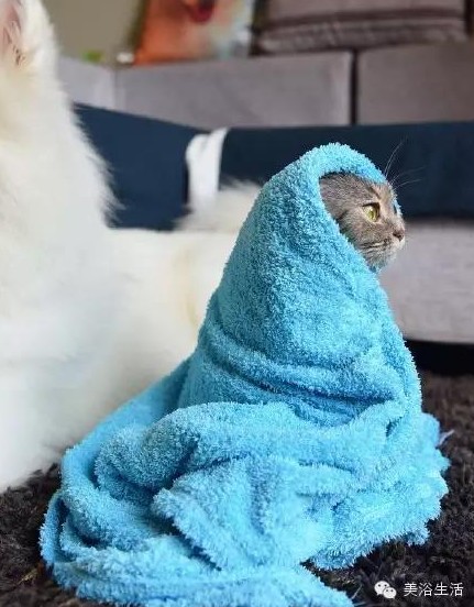 ԡëԌëҲv