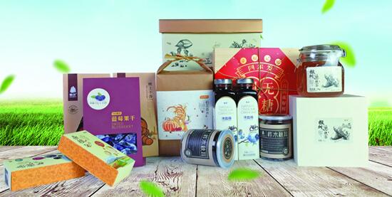 2017ڶYƷչʢ_(ki)Ļʮe