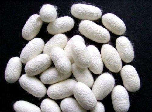 ͬǽzW_{ʲôf(shu)(i)R