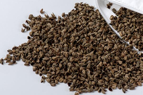 (zh)ȻѻҼĸɽwsߴ﷦