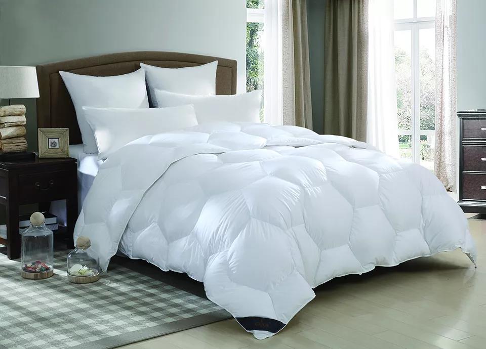 ƷZq˜ʳ_쿴I(mi)ı_˛](mi)